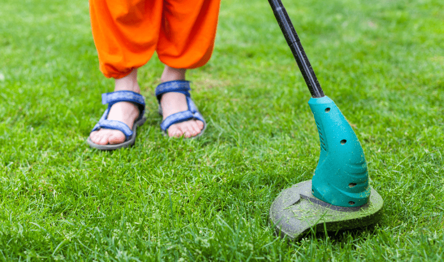 Lawn Maintenance