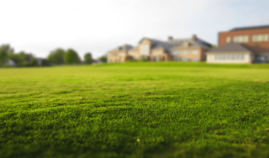 Lawn Care